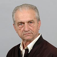 Борислав Стамболов, проф.